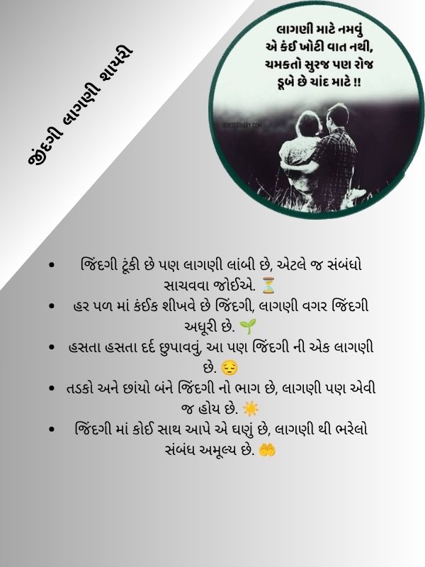 જીંદગી લાગણી શાયરી