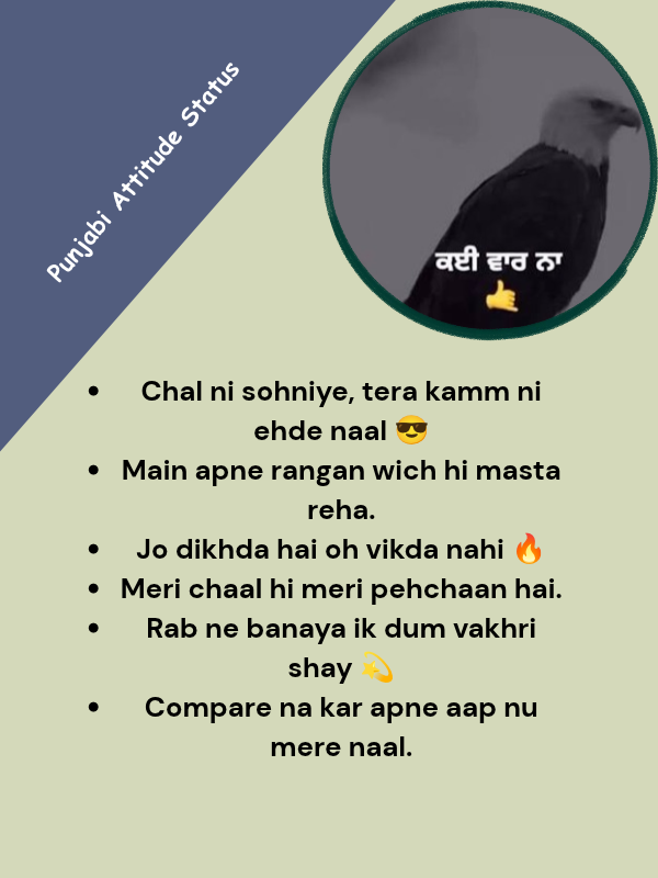 Punjabi Attitude Status